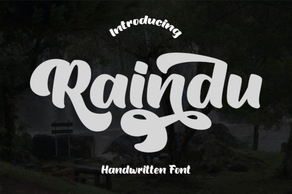 Raindu: A Bold Script Font That Elevates Your Brand