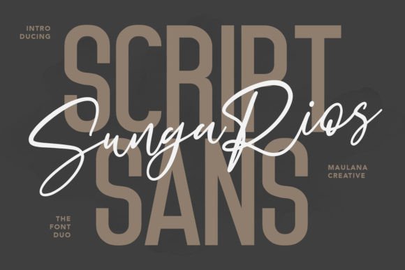 Sungarios: A Designer’s Real-World Script Font Review